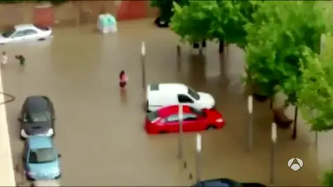 00798 00798