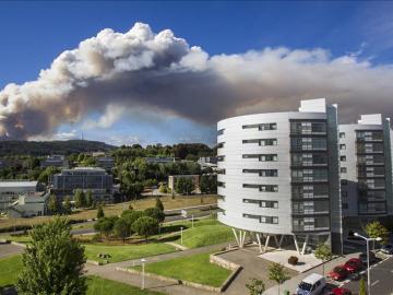 El incendio pudo haber afectado a varias viviendas cercanas a la zona