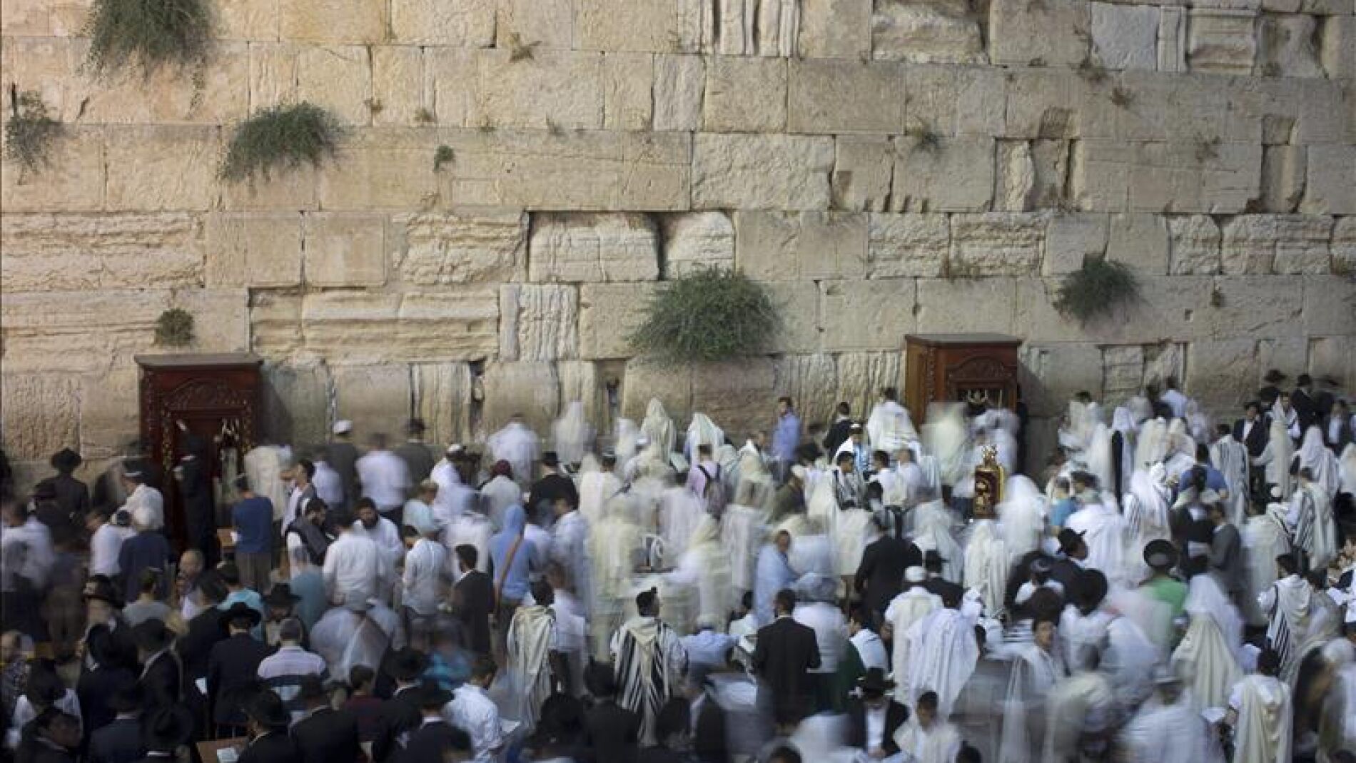 Decenas de palestinos intentaron impedir el acceso de turistas