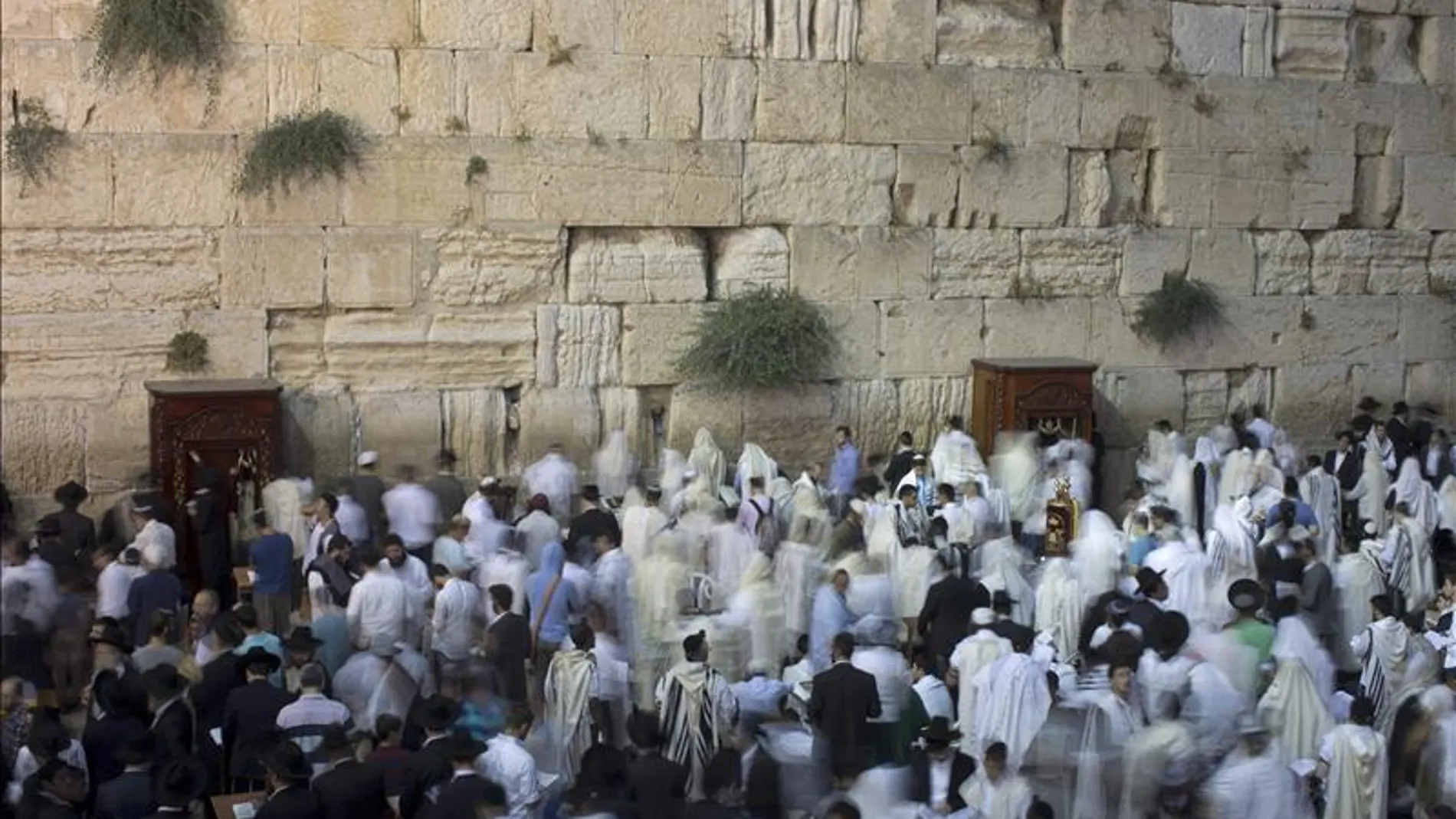 Decenas de palestinos intentaron impedir el acceso de turistas Decenas de palestinos intentaron impedir el acceso de turistas