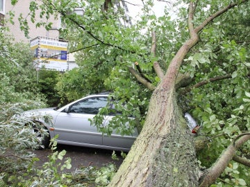 Un árbol caído sobre un coche en Holanda