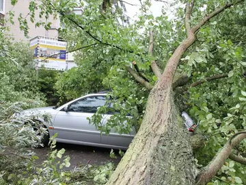 Un árbol caído sobre un coche en Holanda Un árbol caído sobre un coche en Holanda