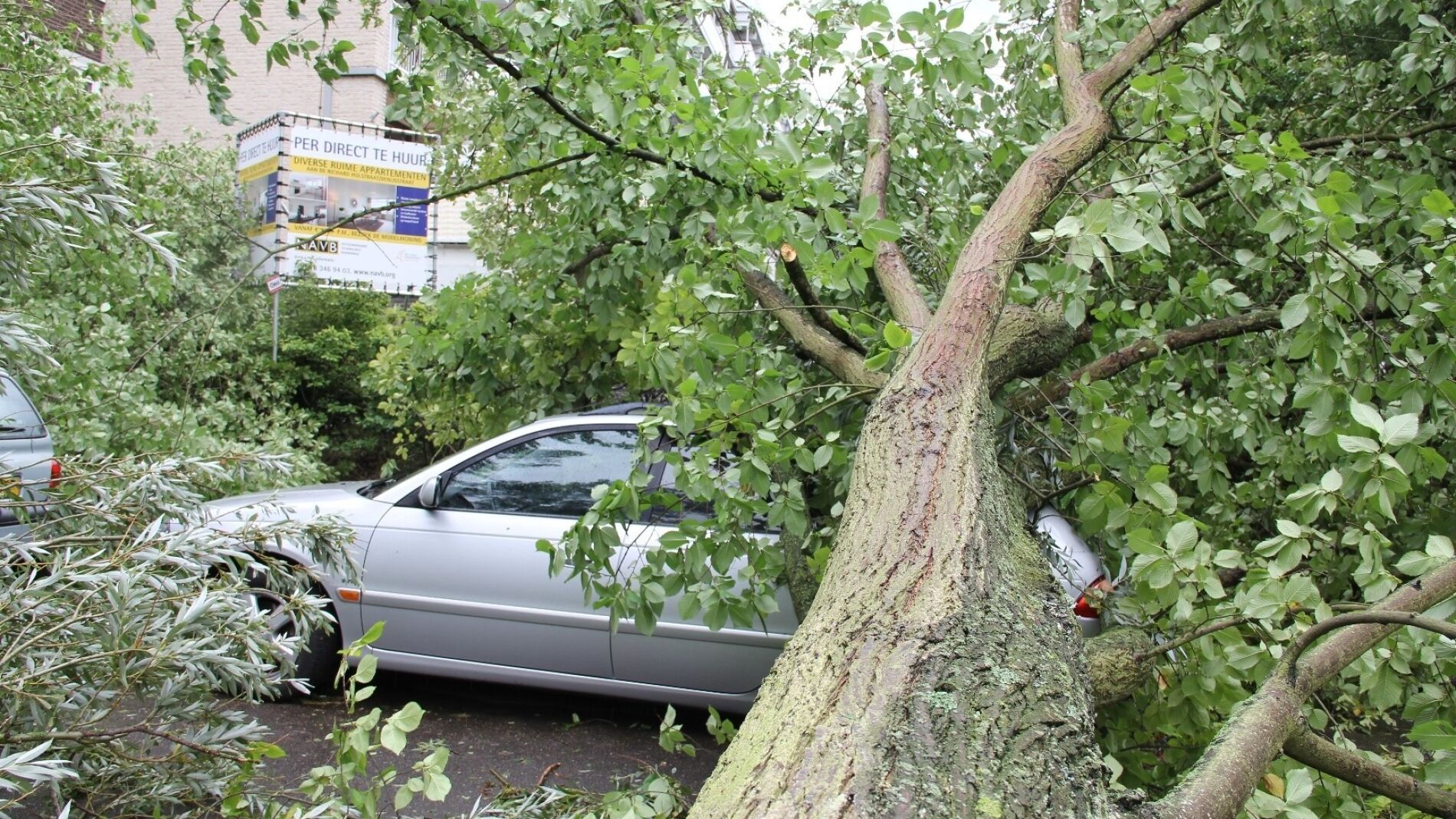 Un &aacute;rbol ca&iacute;do sobre un coche en Holanda