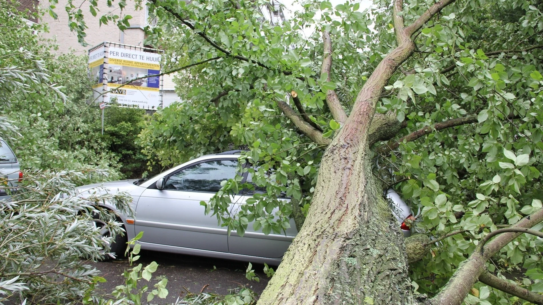 Un árbol caído sobre un coche en Holanda Un árbol caído sobre un coche en Holanda