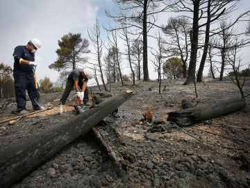 Bomberos trabajan sobre la zona del incendio de Ódena