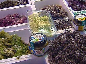  Acompaña tus platos con algas: pastas, arroces, ensaladas...¡Tú decides!