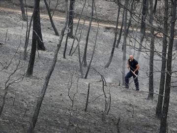 Bomberos de la Generalitat han estado trabajando durante toda la noche