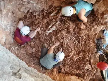 Trabajos arqueológicos en la Cueva de los Rinocerontes Trabajos arqueológicos en la Cueva de los Rinocerontes