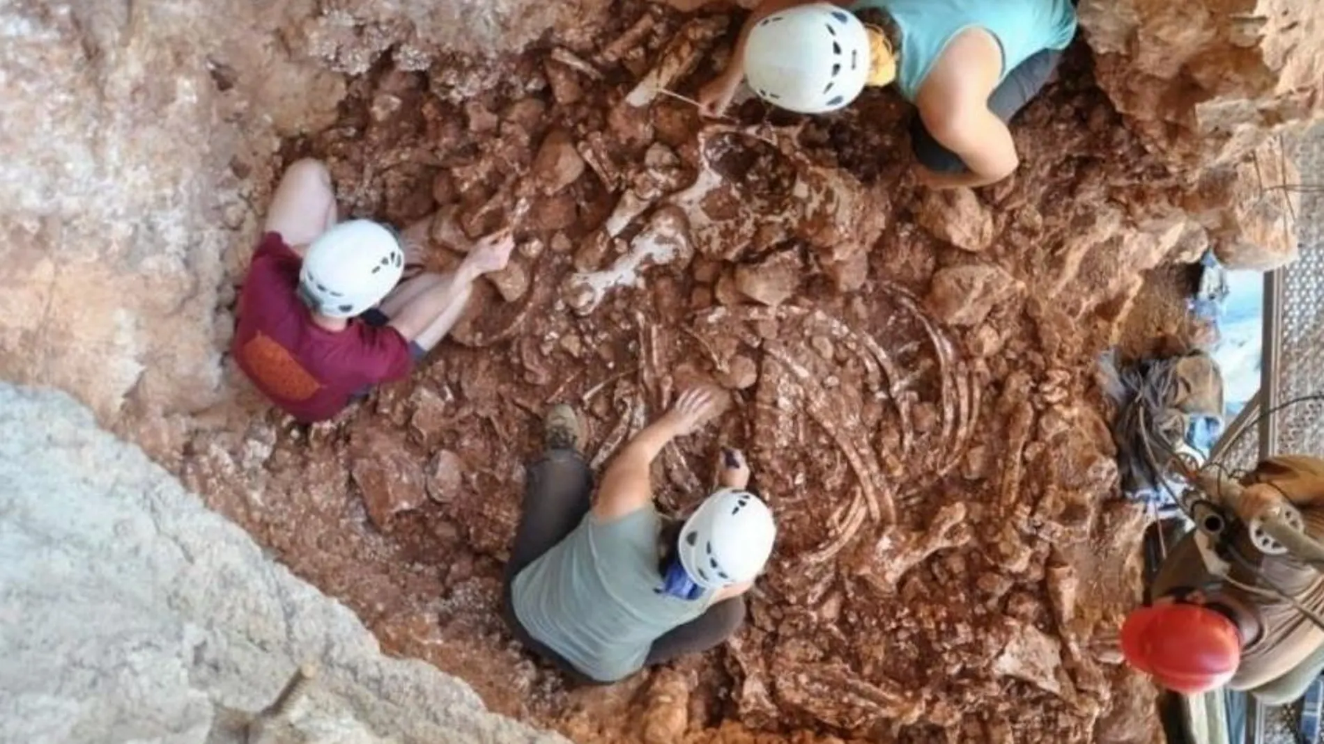 Trabajos arqueológicos en la Cueva de los Rinocerontes Trabajos arqueológicos en la Cueva de los Rinocerontes