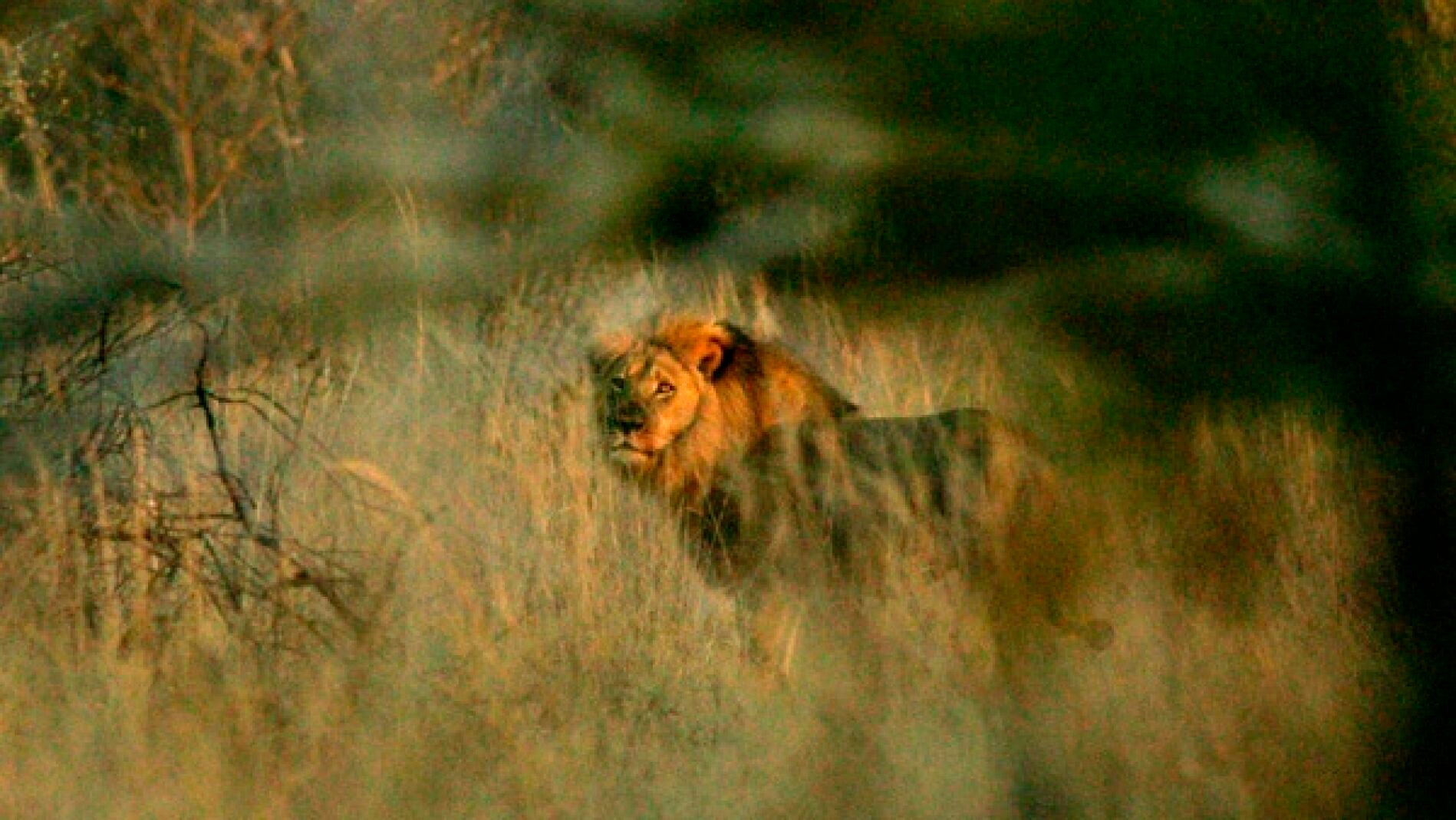 Imagen de Jericho antes de morir 