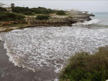 Cierran una playa en Menorca por la presencia de un tiburón