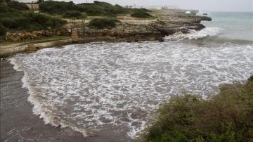 Cierran una playa en Menorca por la presencia de un tiburón