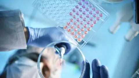 En busca de marcadores genéticos para personalizar los tratamientos de cáncer infantil En busca de marcadores genéticos para personalizar los tratamientos de cáncer infantil