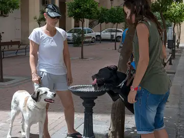 Dos personas dan de beber a sus perros en una fuente Dos personas dan de beber a sus perros en una fuente