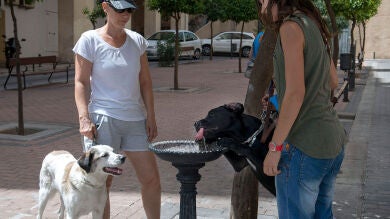 Polémica en Málaga tras la instalación de un parque para perros sobre la mayor fosa de fusilados durante la Guerra Civil