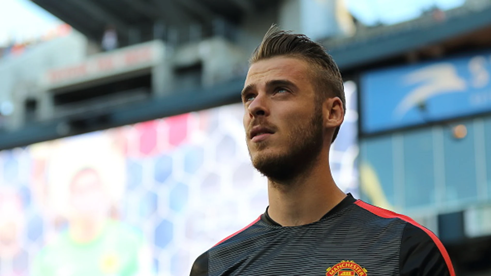 David de Gea David de Gea