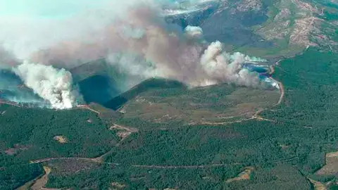 Fotografía aérea del incendio forestal declarado en la localidad de Acebo (Cáceres) Fotografía aérea del incendio forestal declarado en la localidad de Acebo (Cáceres)