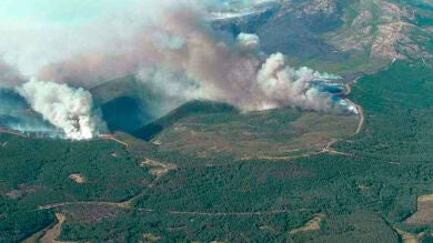 El incendio de Sierra de Gata, estabilizado tras arrasar más de 9.000 hectáreas