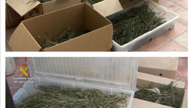 Detienen a 34 miembros de una organización criminal dedicada al tráfico de drogas