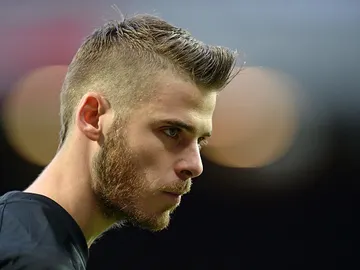 David de Gea David de Gea