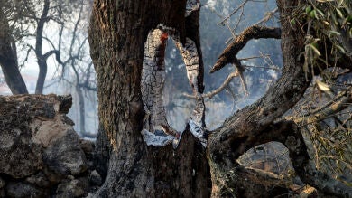 El incendio de la Sierra de Gata sigue sin controlar tres días después de su inicio