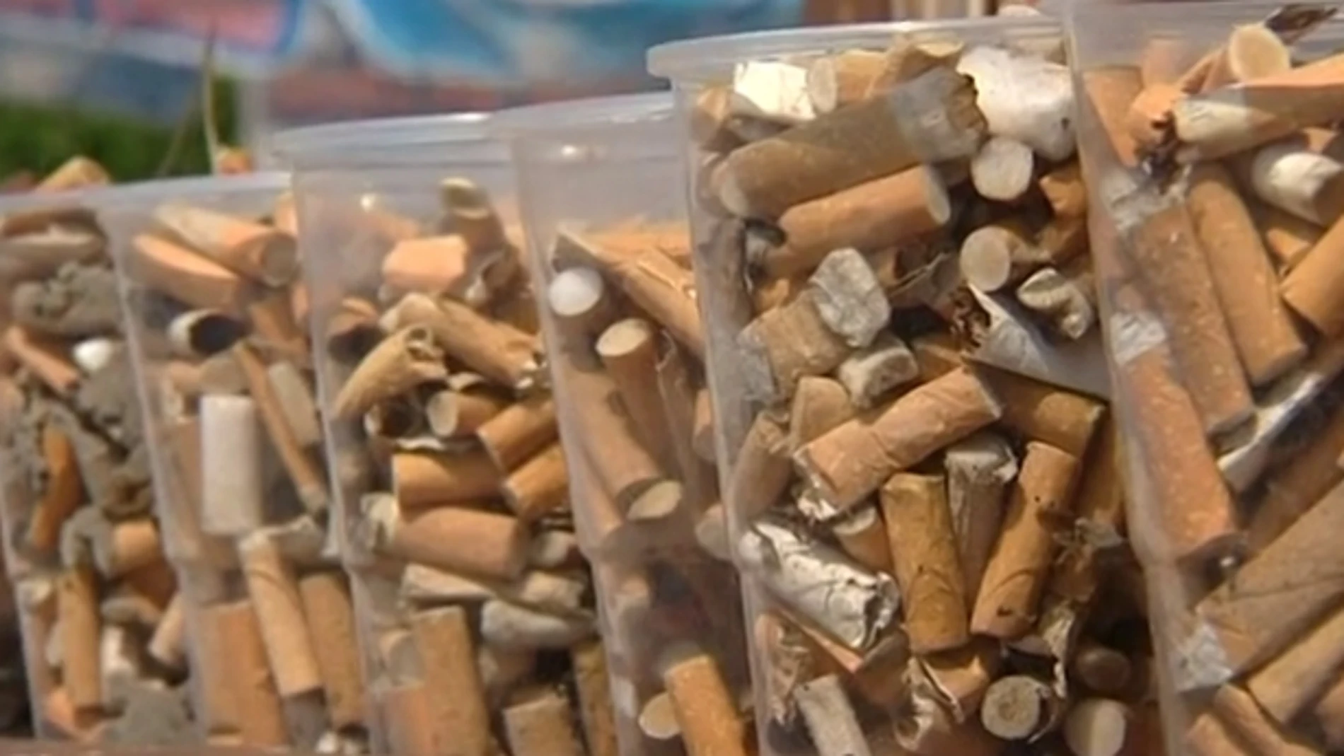 Vasos llenos de colillas Vasos llenos de colillas