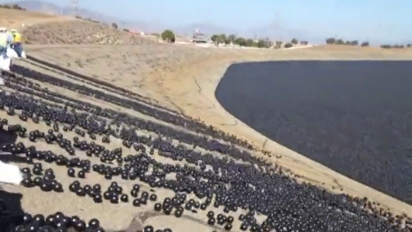 Lanzan millones de pelotas para conservar el agua en los pantanos de Los Ángeles