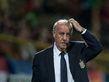 Vicente del Bosque, pensativo en un partido con la selección española de fútbol