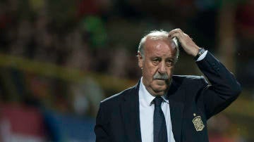 Vicente del Bosque, pensativo en un partido con la selección española de fútbol