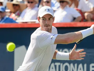 Andy Murray golpea una bola Andy Murray golpea una bola