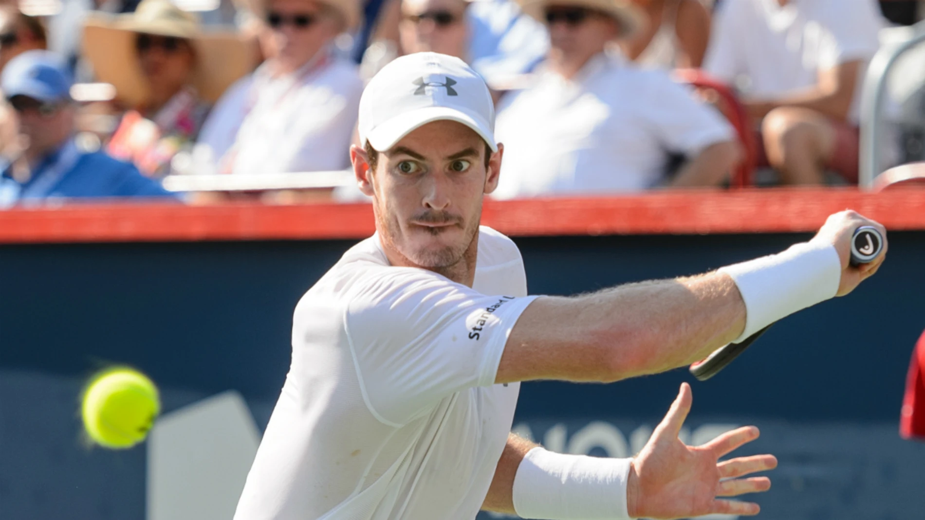 Andy Murray golpea una bola Andy Murray golpea una bola