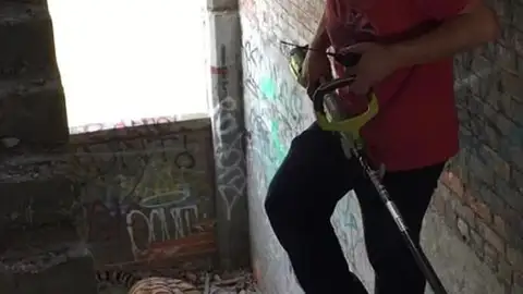 Momento en el que tratan de atrapar al tigre Momento en el que tratan de atrapar al tigre