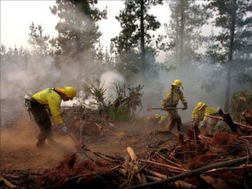 Un grupo de bomberos apagan un incendio