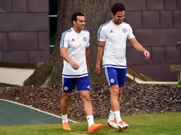 Pedro y Cesc, compañeros de nuevo en el Chelsea Pedro y Cesc, compañeros de nuevo en el Chelsea