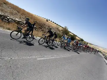 El pelotón, durante la séptima etapa de la Vuelta El pelotón, durante la séptima etapa de la Vuelta