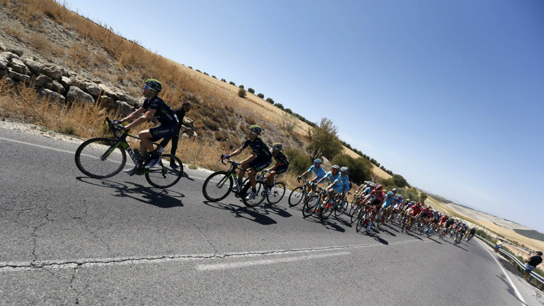 El pelotón, durante la séptima etapa de la Vuelta El pelotón, durante la séptima etapa de la Vuelta