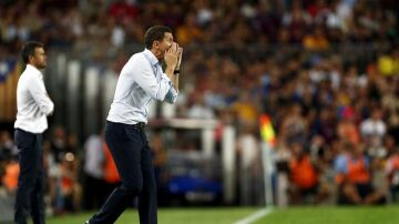 Javi Gracia, entrenador del Málaga CF