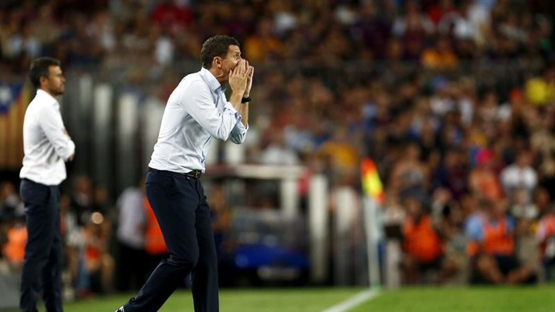 Javi Gracia, entrenador del M&aacute;laga CF