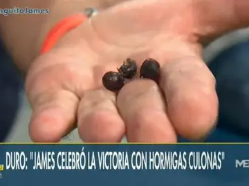 Hormigas culonas Hormigas culonas