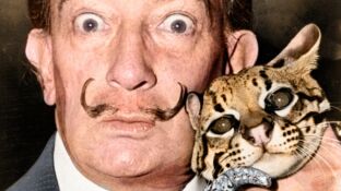 Salvador Dal&iacute; con un ocelote en 1965