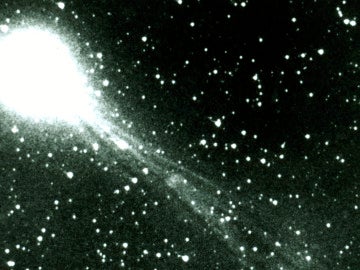 Cometa Halley