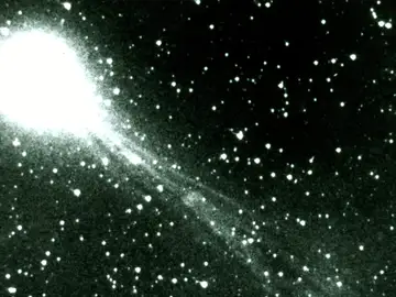 Cometa Halley Cometa Halley