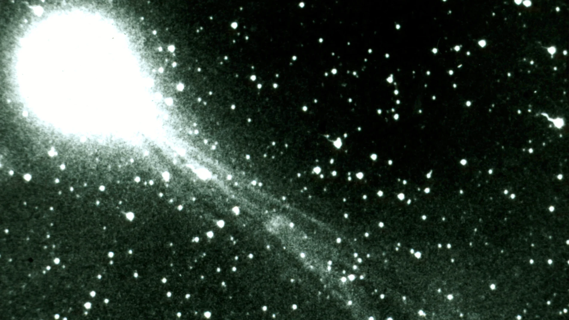 Cometa Halley Cometa Halley