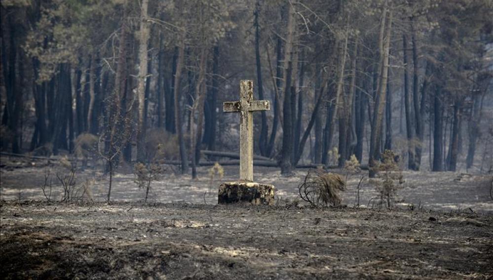 Restos del incendio de Cualedro