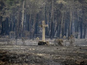 Restos del incendio de Cualedro