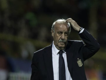 Del Bosque, pensativo