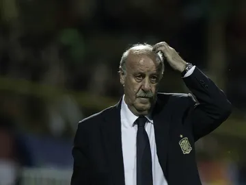 Del Bosque, pensativo Del Bosque, pensativo