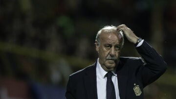 Del Bosque, pensativo