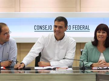 El secretario general del PSOE, Pedro Sánchez (c), durante la reunión del Comité Federal