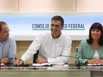 El secretario general del PSOE, Pedro Sánchez (c), durante la reunión del Comité Federal El secretario general del PSOE, Pedro Sánchez (c), durante la reunión del Comité Federal